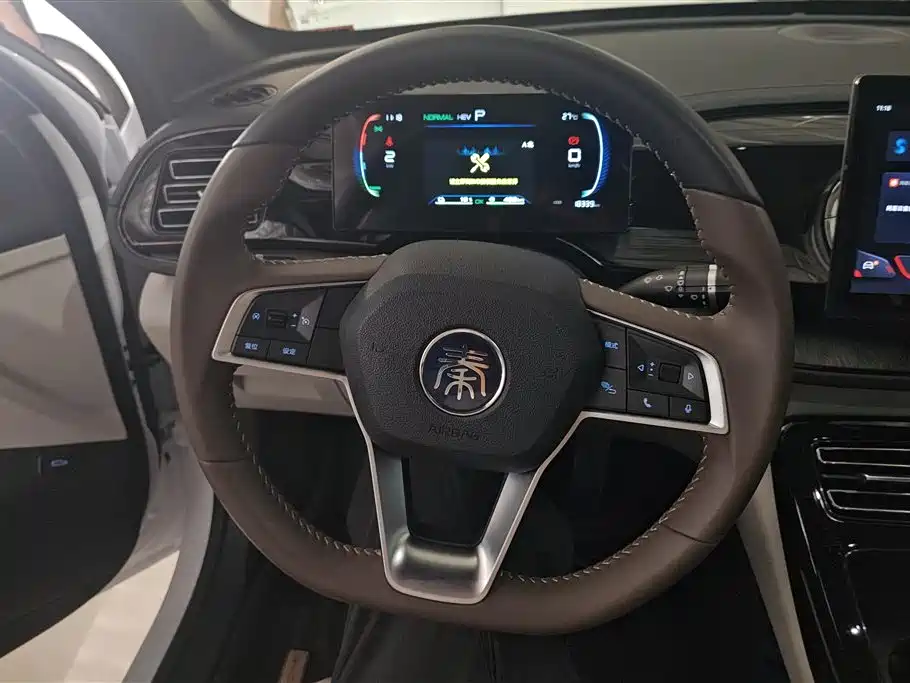 BYD Qin PLUS 2024 Glory Edition DM-i 55KM Leading фото 15