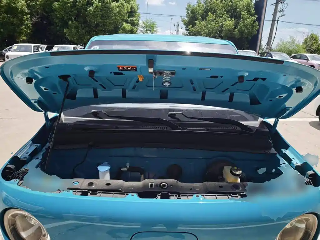 Ruilan Auto Ruilan Blue Elf 2026 2025 Base Model