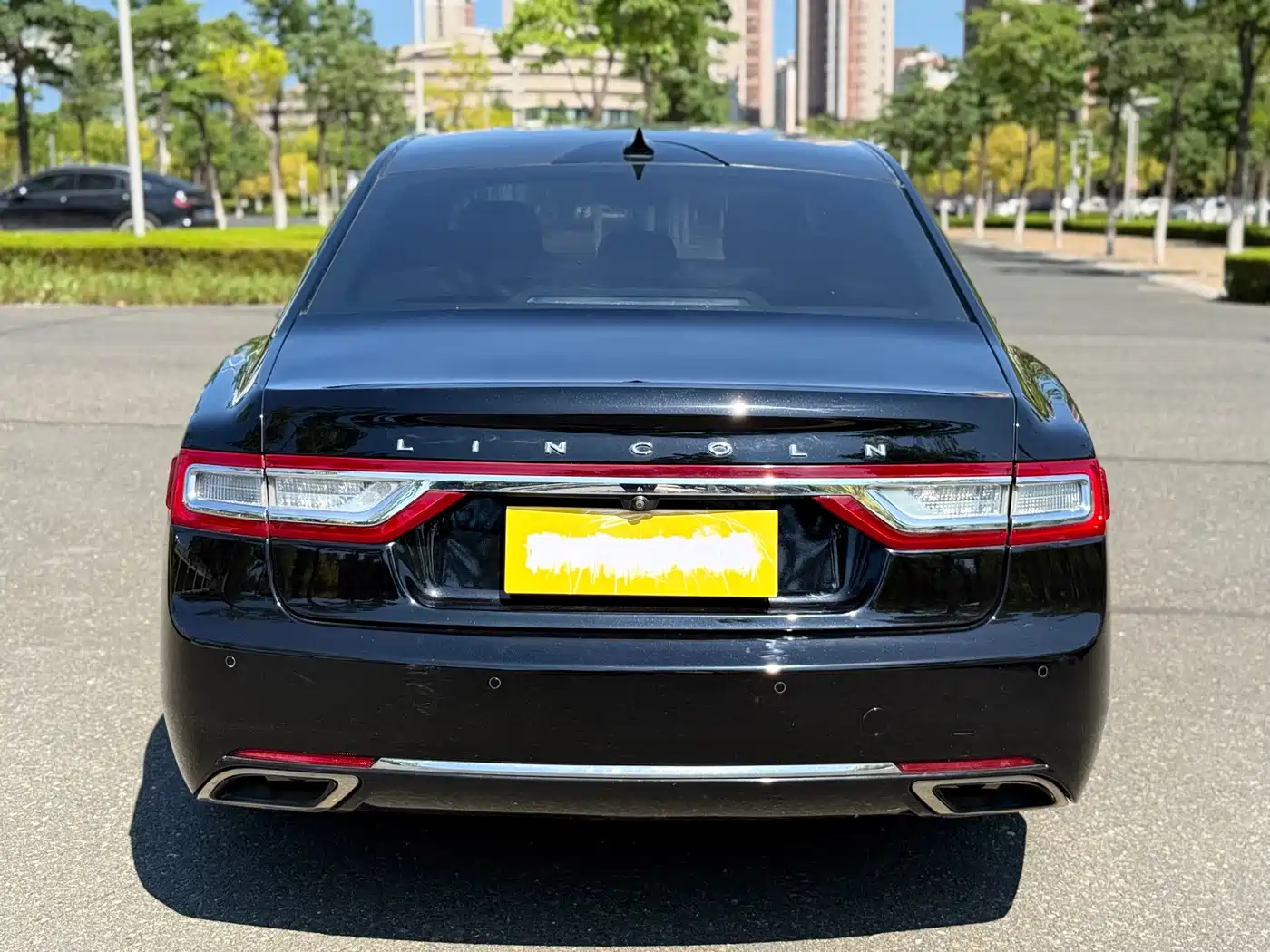 Lincoln Continental 2019 2019 2.0T 2WD Zunxiang Edition China V
