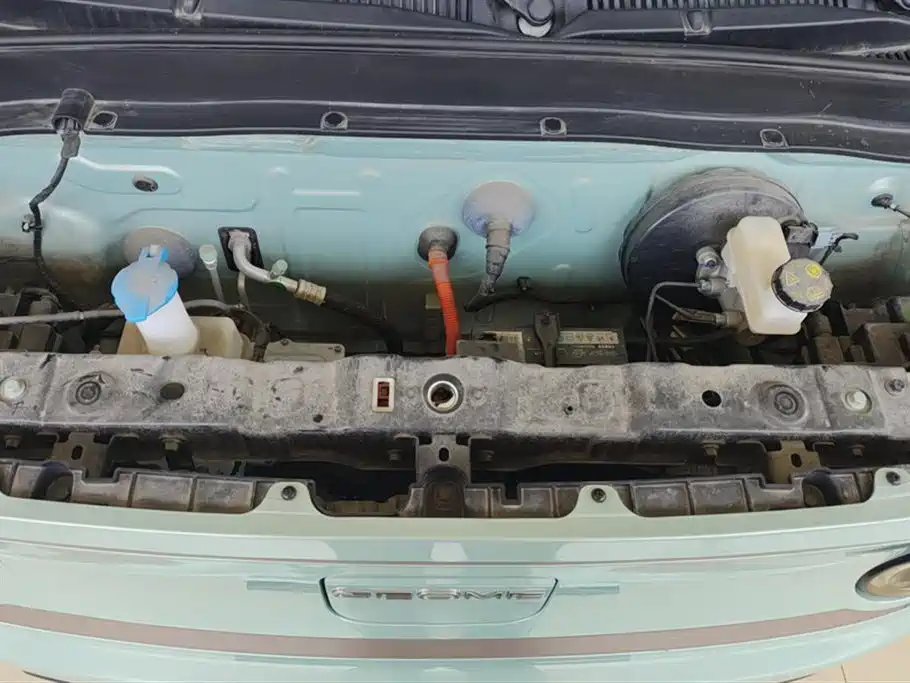 Geely Galaxy Panda 2023 Panda Mini 200km Endurance Bear фото 10