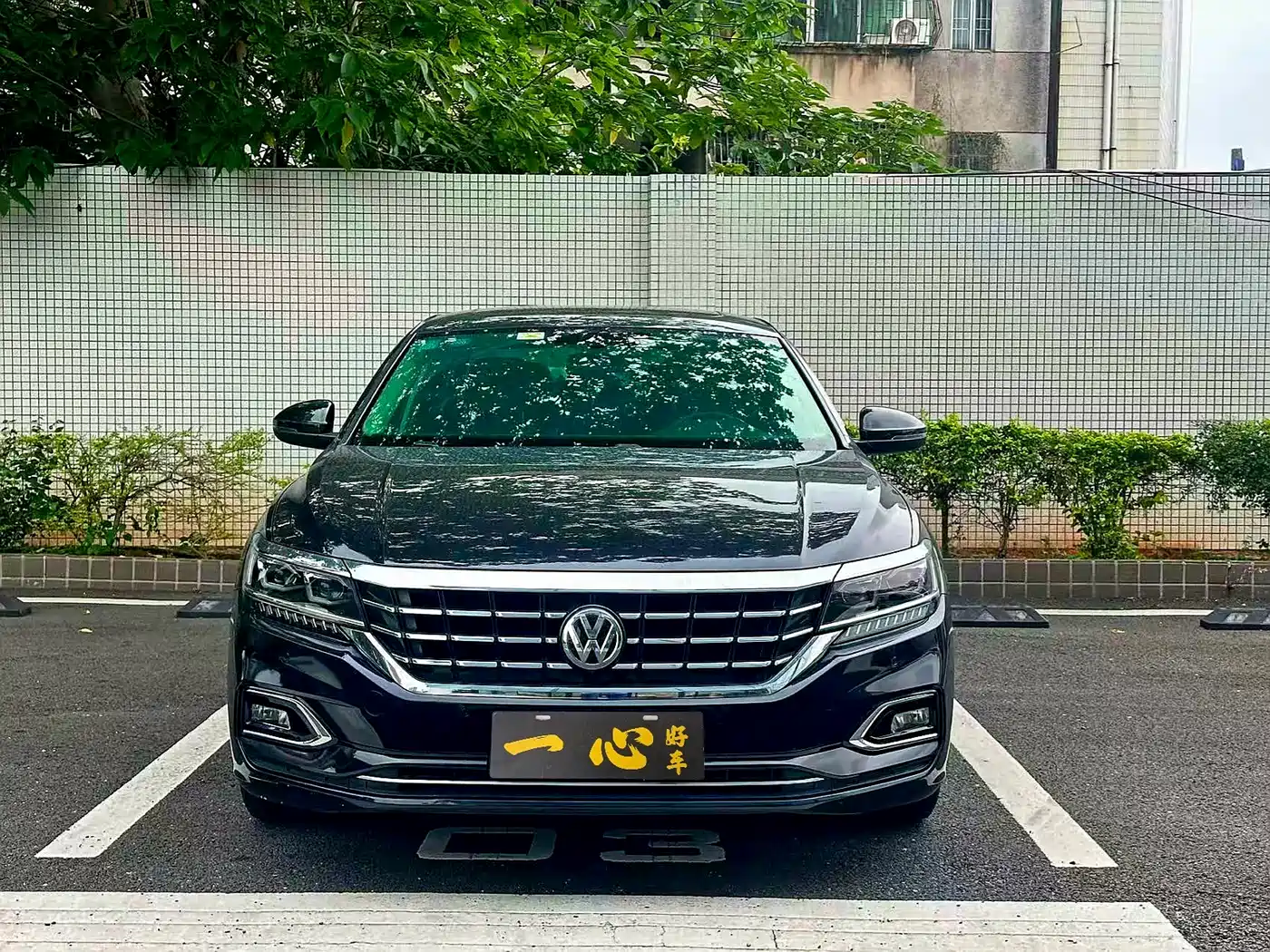 Volkswagen Passat 2019 330TSI Luxury Edition China VI фото 2