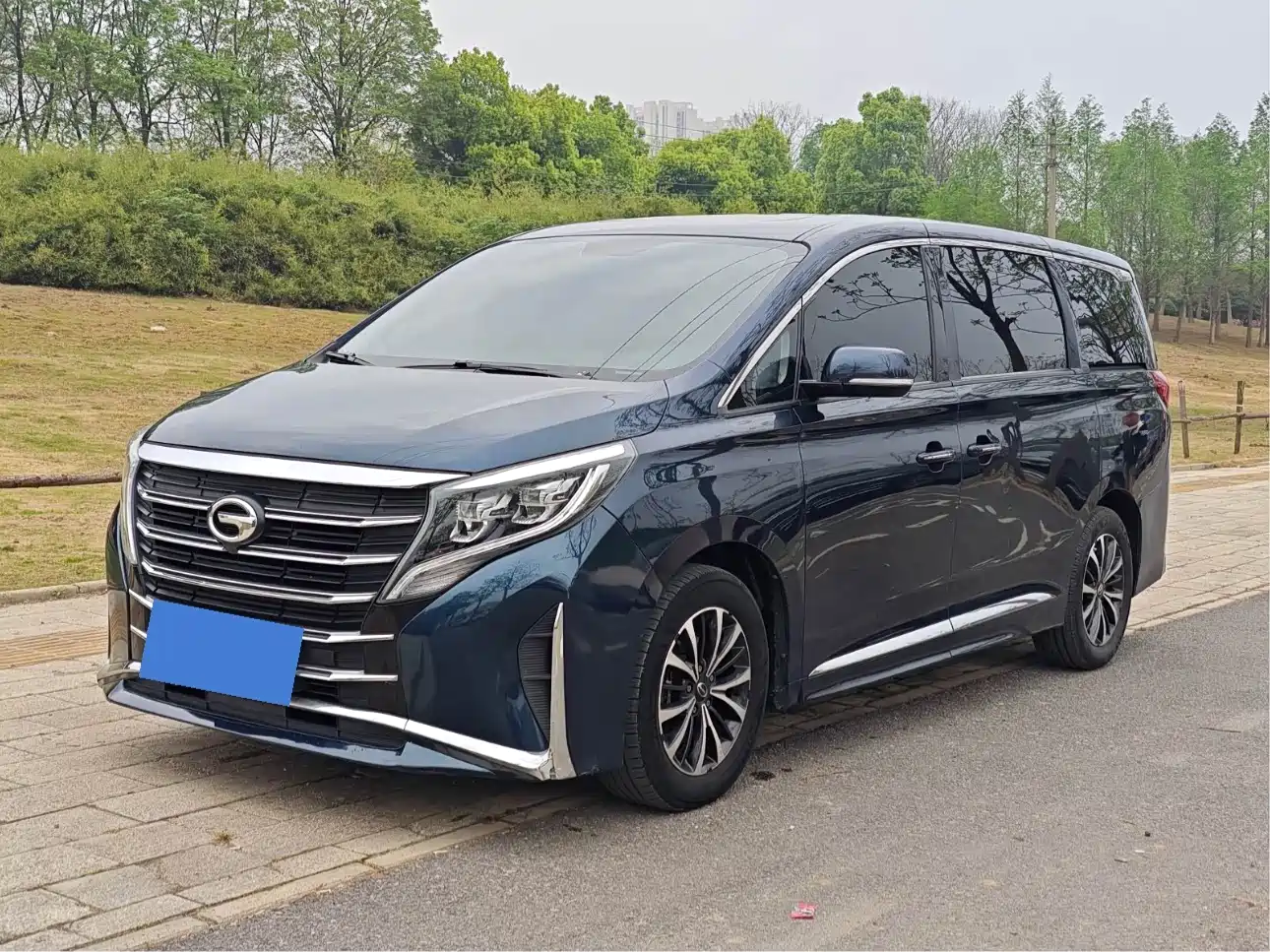 GAC Trumpchi Trumpchi M8 2021 Leading Show Series 390T Premium Edition