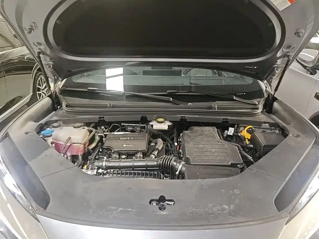 BYD Sealion 06 New Energy 2025 DM-i 170 Pilot Plus Edition фото 20