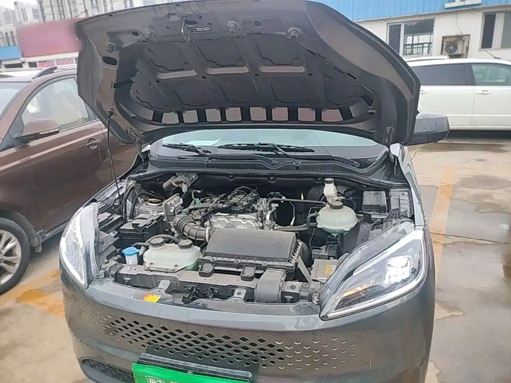 Фото 20 - Wuling Motors Wuling Hongguang New Energy