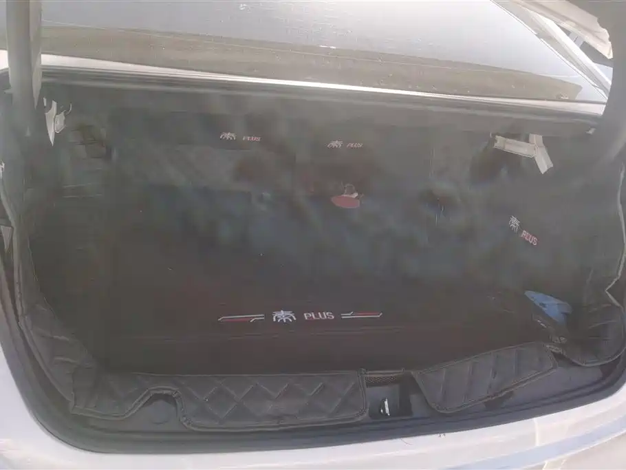 BYD Qin PLUS 2023 Champion Edition DM-i 55KM Leading фото 4