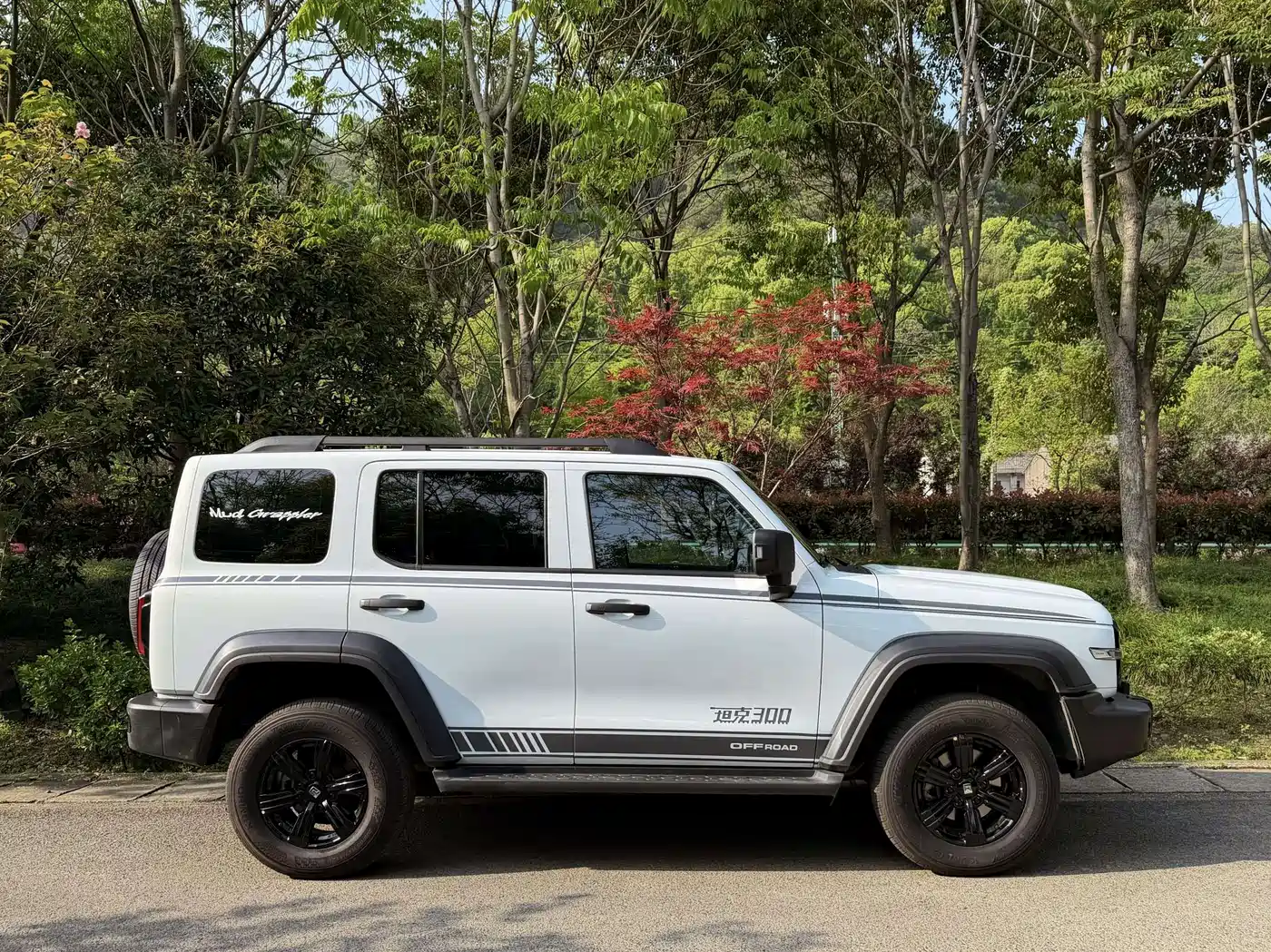 Tank 300 2023 Off-Road Edition 2.0T Conqueror фото 7