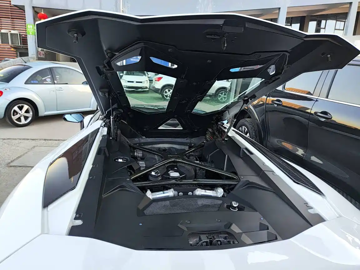 Lamborghini Aventador 2013 LP 700-4 Roadster фото 9