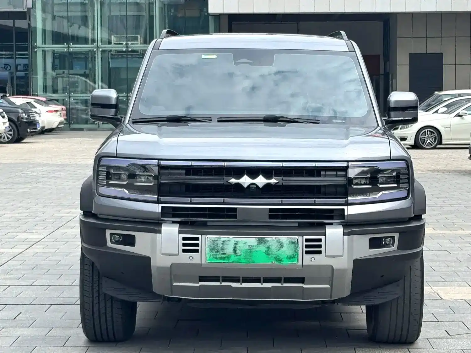 Photo 2 - Fang Cheng Bao Leopard 5