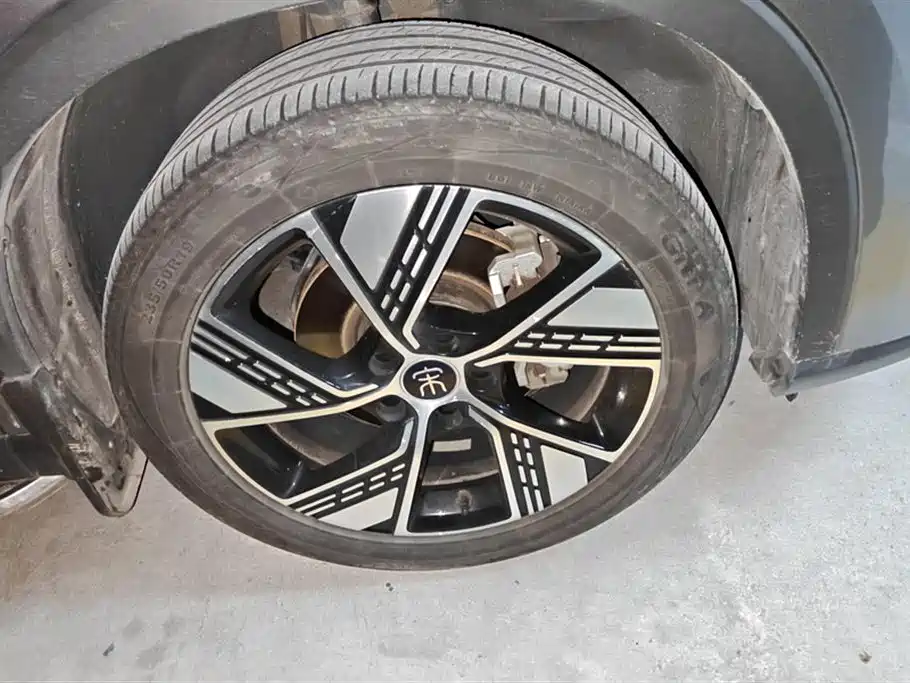 BYD Song Pro New Energy 2023 Champion Edition DM-i 110KM Excellence фото 6