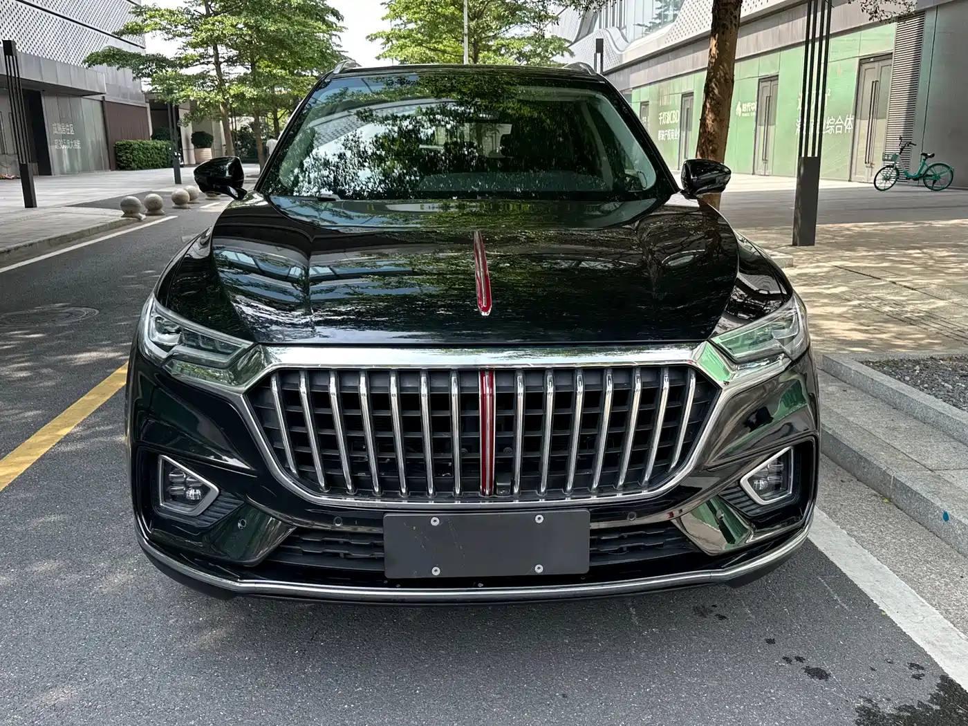 Hongqi HS5 2019 2.0T Smart Connect Enjoy Edition фото 2
