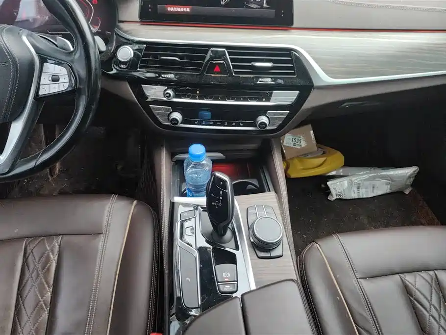 BMW 5 Series 2020 530Li Leading M Sport Package фото 16