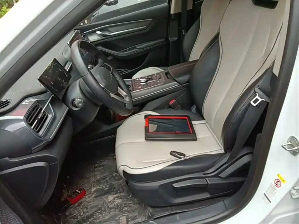 BYD Destroyer 05 2024 Glory Edition DM-i 55KM Luxury фото 15