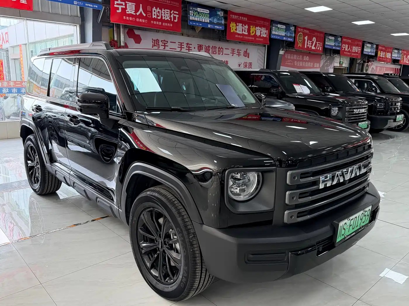 HAVAL RAPTORS NEW ENERGY