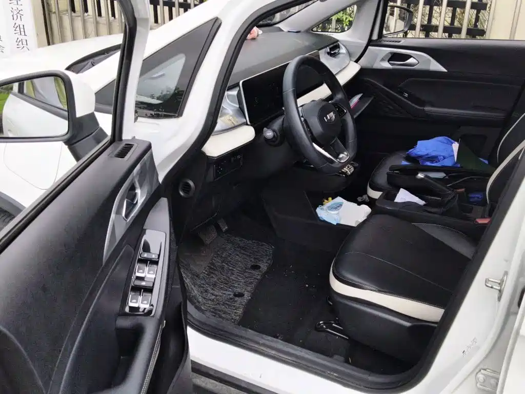 Geely Geometry E Firefly 2022 2022 320KM Well-behaved Tiger 4-seater
