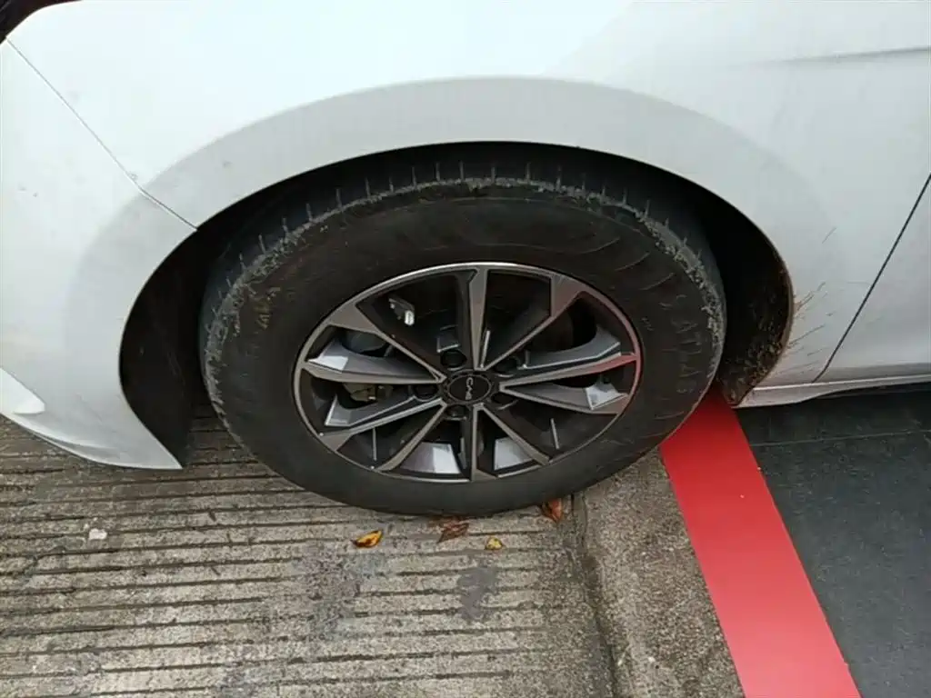 BYD Destroyer 05 2024 Glory Edition DM-i 55KM Luxury фото 23