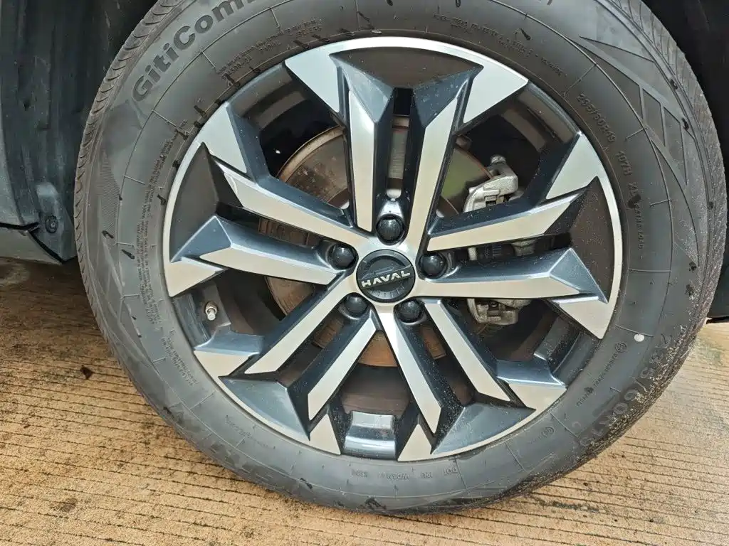 Haval Big Dog 2025 2024 1.5T DCT Border Collie Edition