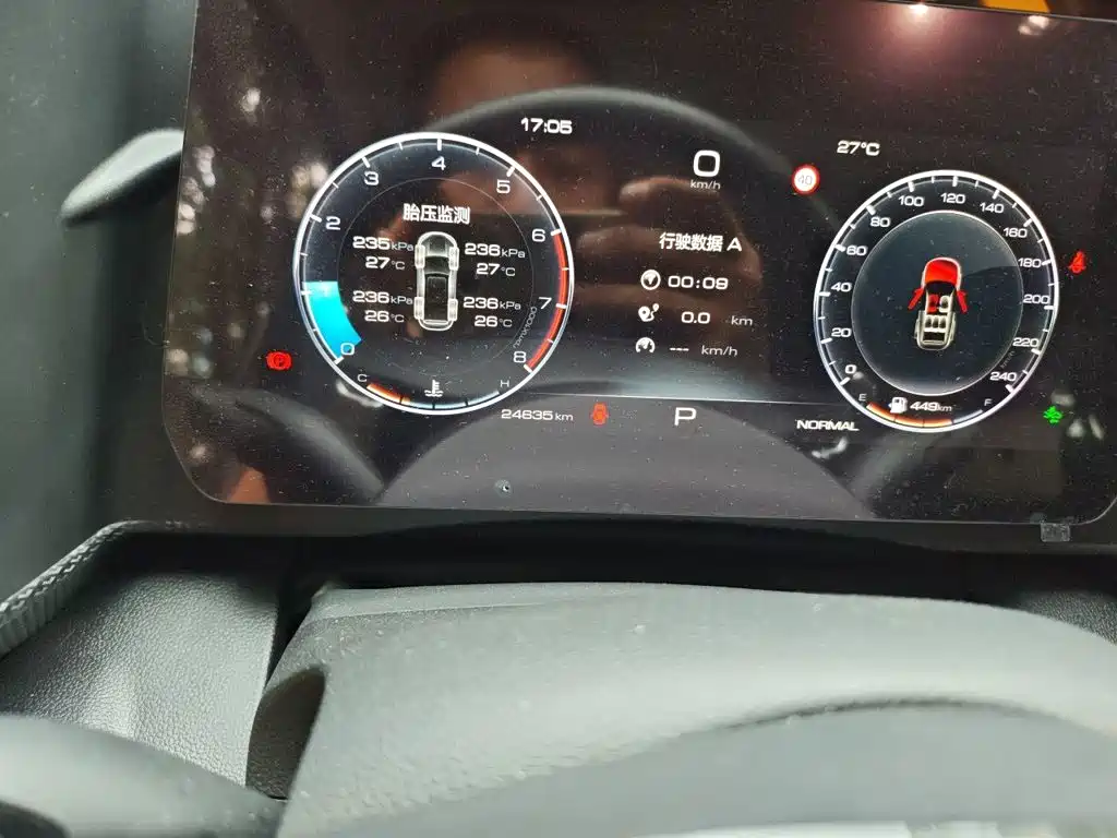 Haval Big Dog 2025 2024 1.5T DCT Border Collie Edition