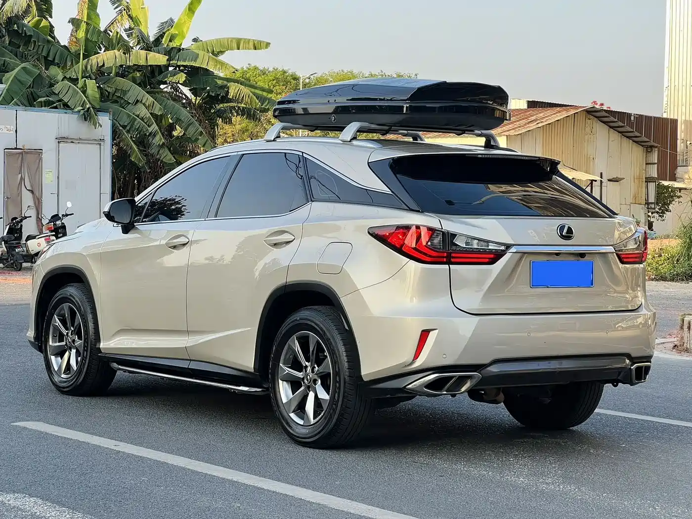 LEXUS RX