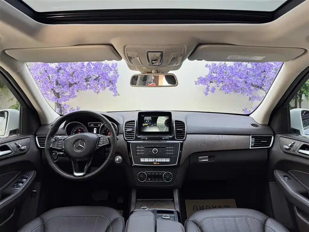 Mercedes-Benz GLE 2017 GLE 320 4MATIC Dynamic фото 14