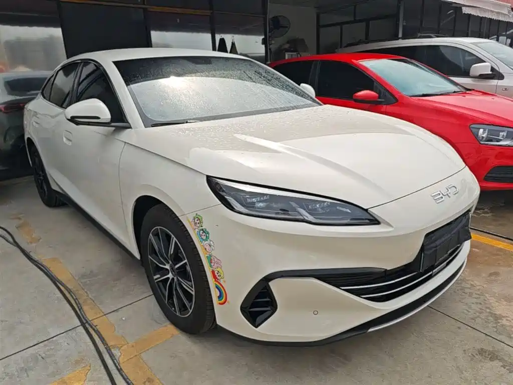 BYD Seal 06 New Energy 2024 DM-i 80KM Prestige фото 4