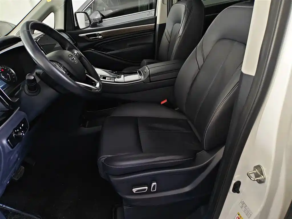 GAC Trumpchi Trumpchi M8 2021 Leading Show Series 390T Premium Edition фото 13
