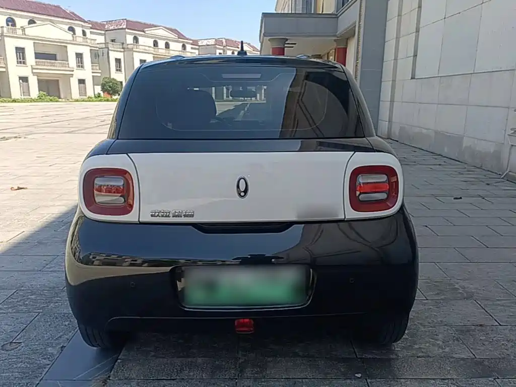 Ora Black Cat 2022 2022 Facelift 301km Pet Edition LFP Version