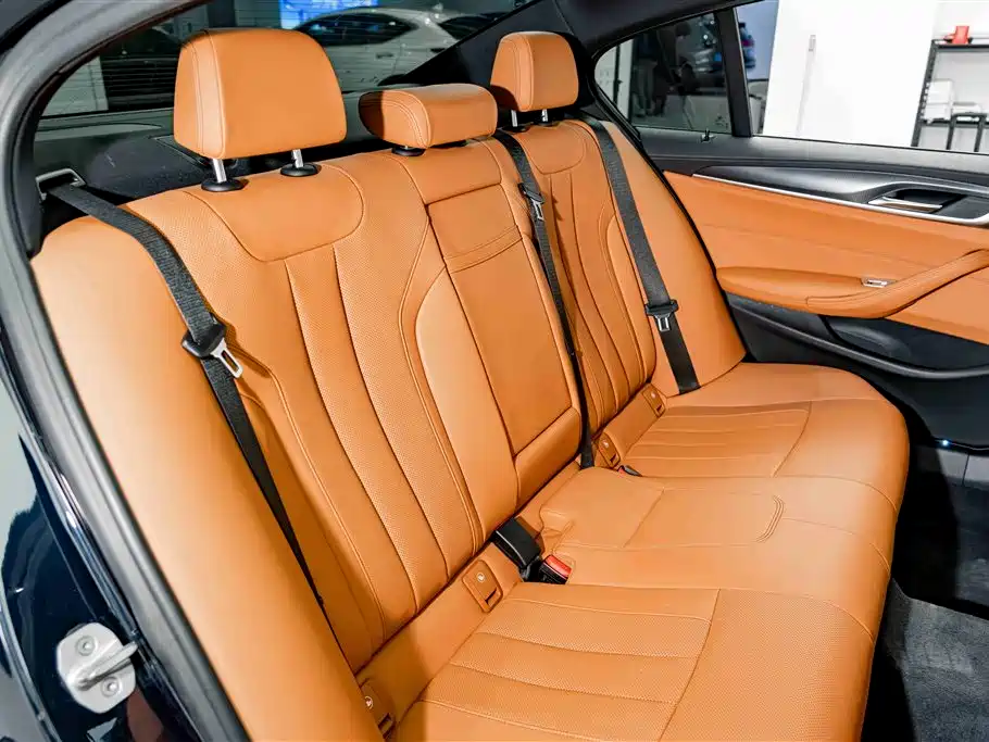 BMW 5 Series (Import) 2022 Facelift 525i M Sport Package фото 21