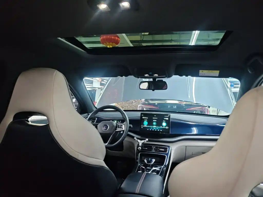 BYD Qin PLUS 2021 DM-i 55KM Flagship фото 18