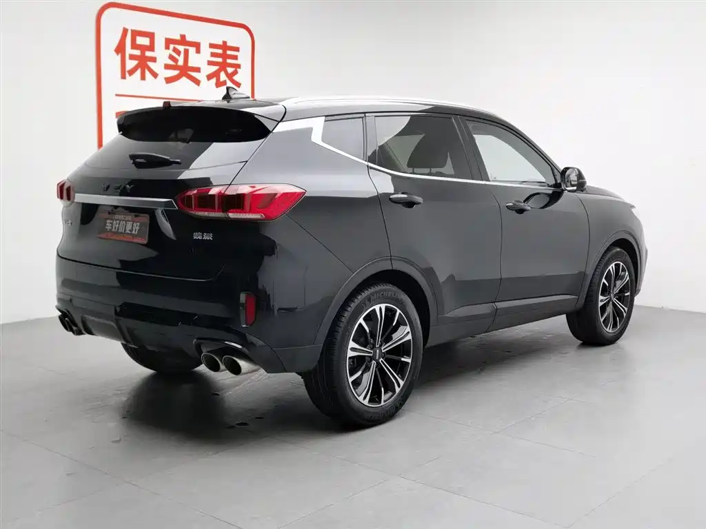 WEI PAI WEI BRAND VV6