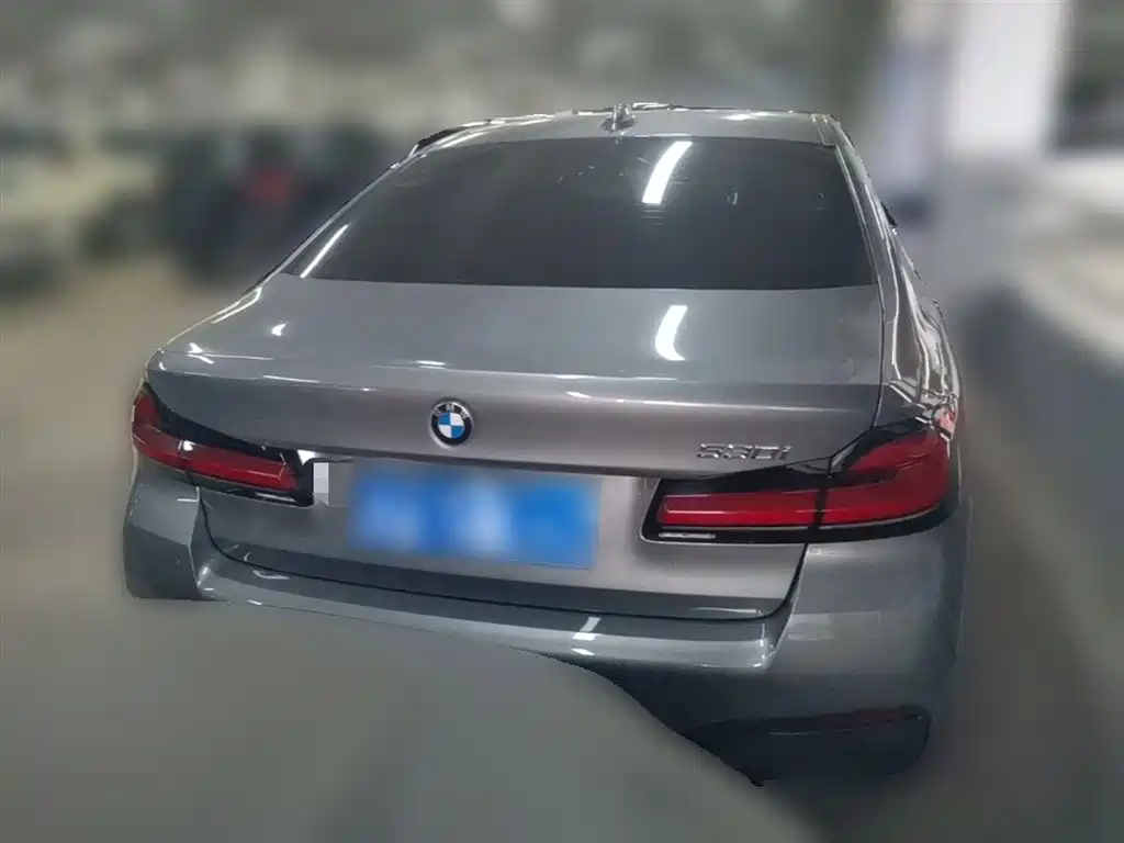 BMW 5 Series (Import) 2022 Facelift 530i M Sport Package фото 10