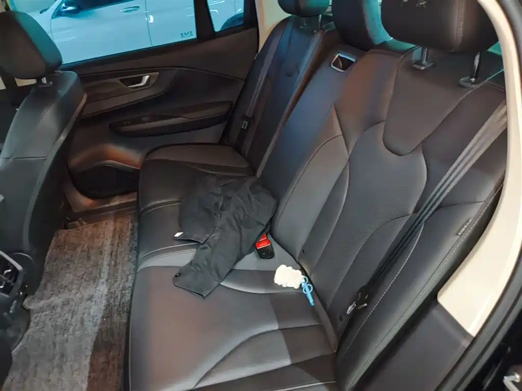 Hongqi E-QM5 2023 Basic Travel Edition фото 17