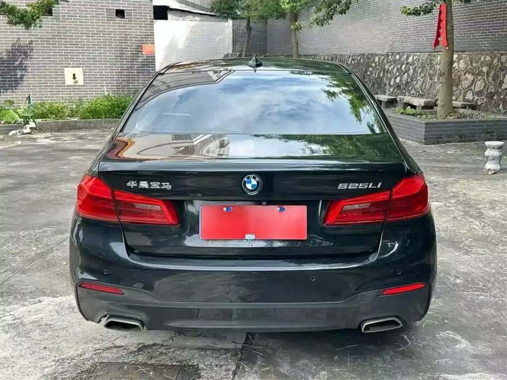 BMW 5 Series 2018 525Li M Sport Package фото 9