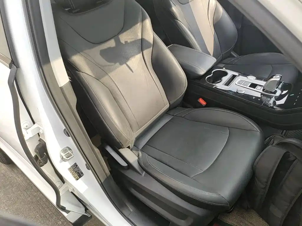 Chery Tiggo 8 PLUS 2024 2024 Champion Edition 290TGDI DCT Haoqing Version (5-seater)