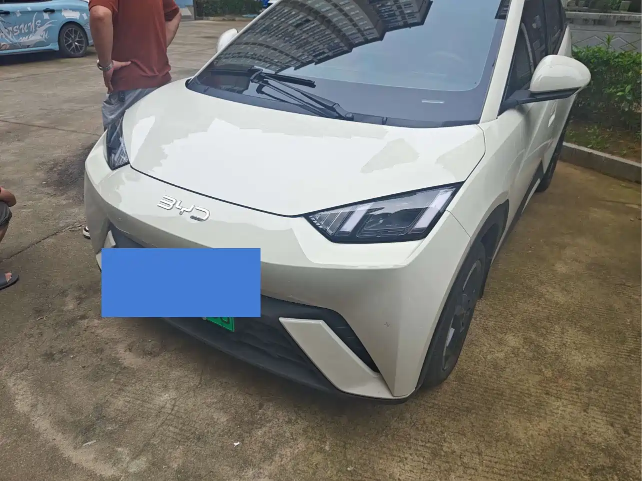 BYD Seagull 2024 Glory Edition 305km Freedom Edition