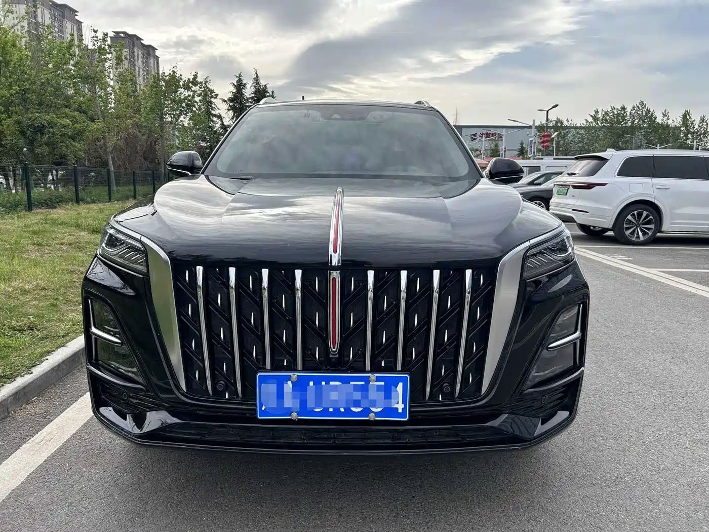 Hongqi HS5 2023 2.0T AWD Flag Pro 500,000 Units Commemorative Edition фото 2