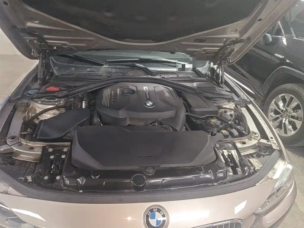 BMW 3 Series 2018 320Li Fashion Style фото 20