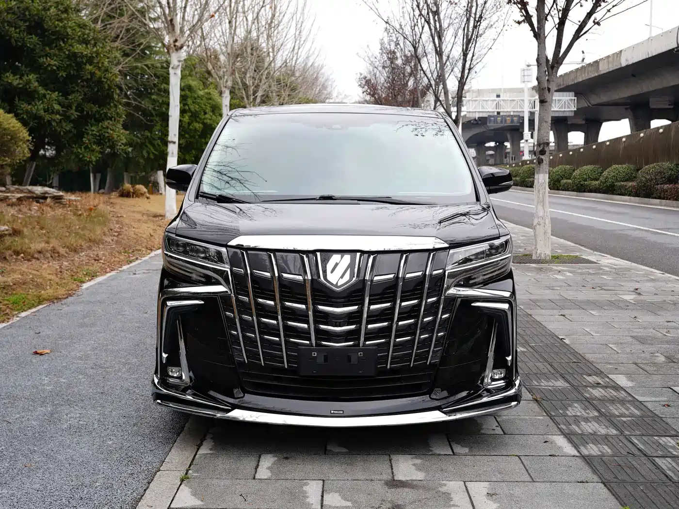 Toyota Alphard 2020 Hybrid 2.5L Premium Edition фото 2