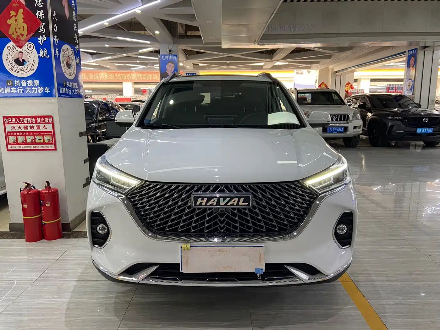 HAVAL M6