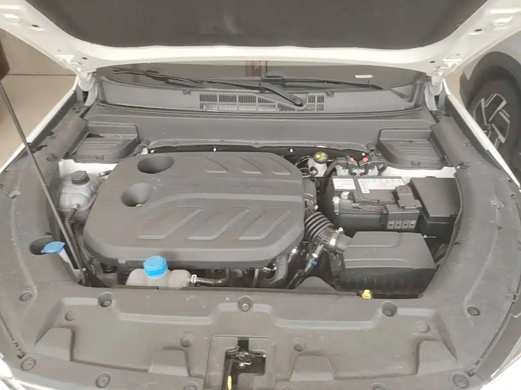 Фото 20 - Changan Oshan Changan Oushang X5