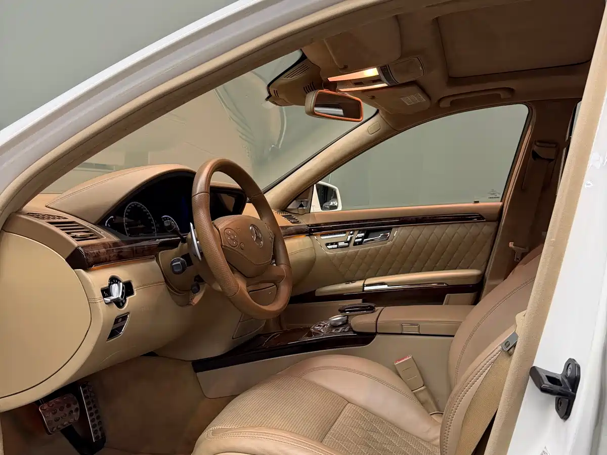 Mercedes-Benz S-Class AMG 2010 AMG S 65 фото 13