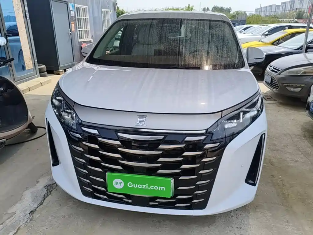 2025 BYD Xia