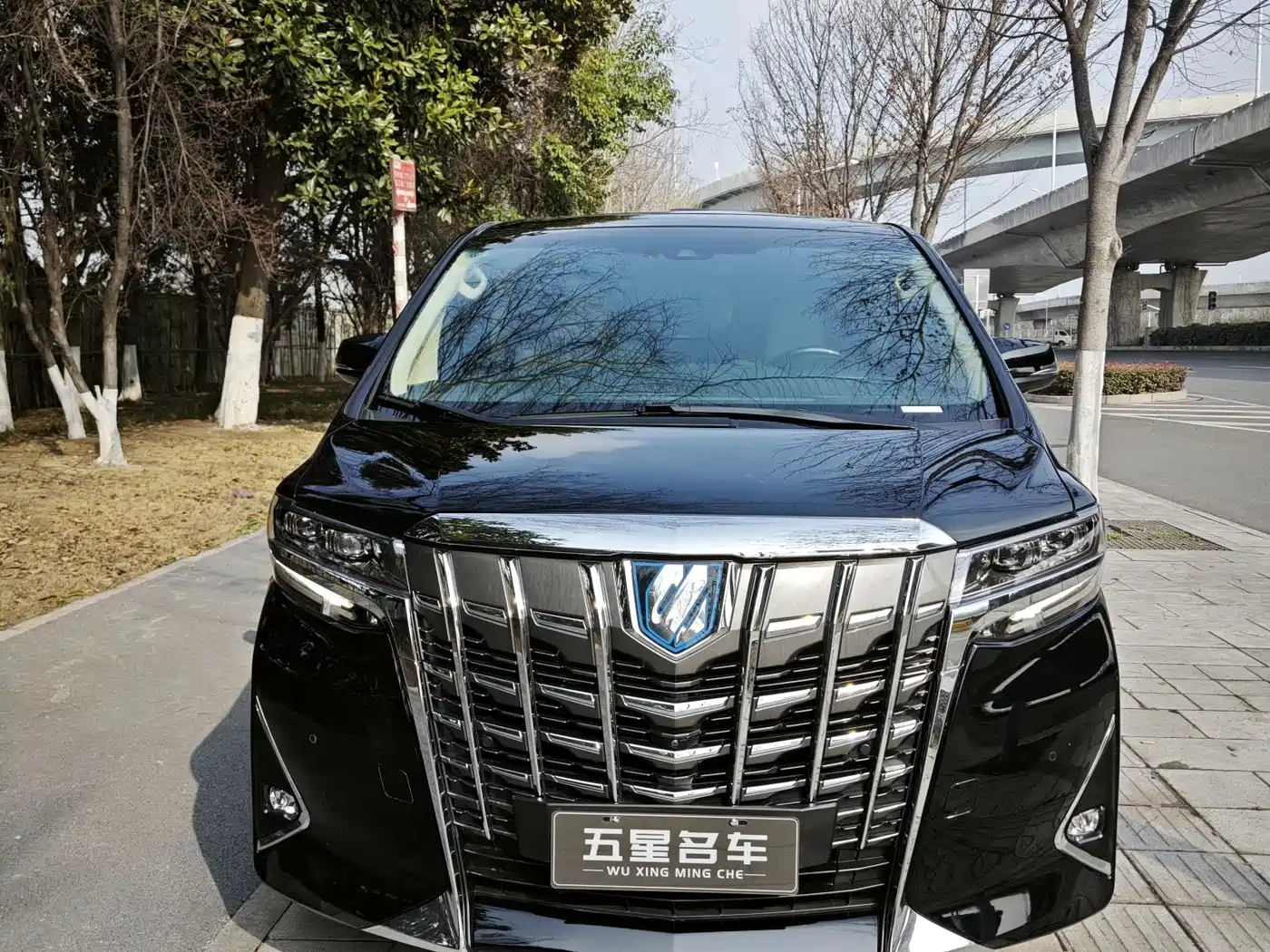 Toyota Alphard 2019 Hybrid 2.5L Premium Edition фото 2