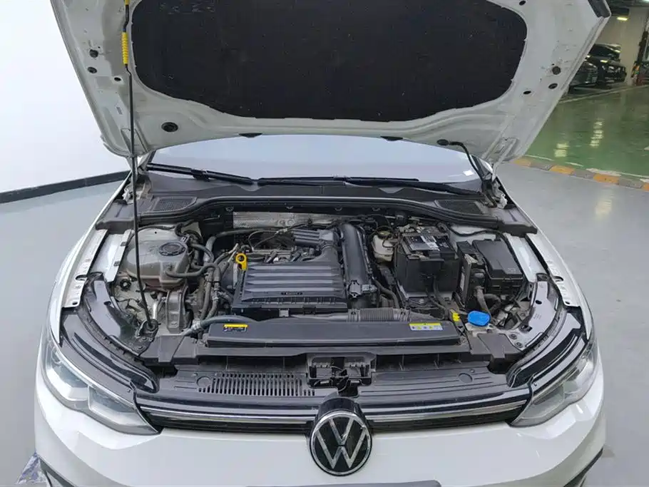 Volkswagen Golf 2024 280TSI DSG Pro Enjoyment Edition фото 10