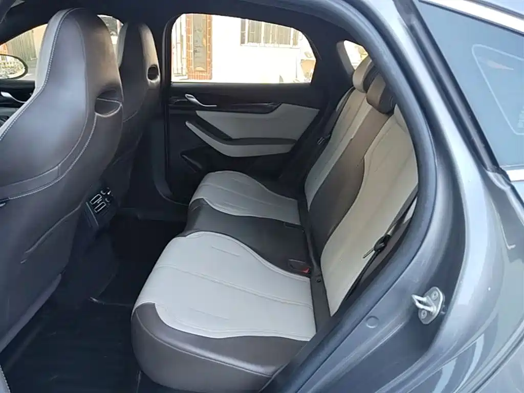 BYD Qin PLUS 2023 Champion Edition DM-i 55KM Leading фото 17