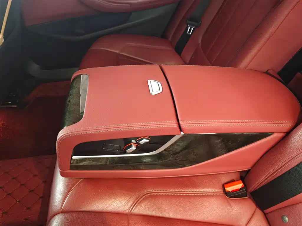 BMW 5 Series 2018 530Li Leading M Sport Package фото 17