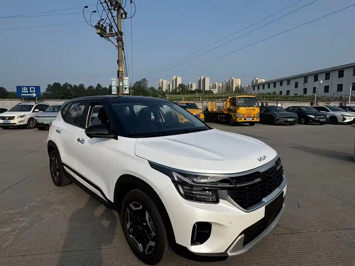 Kia Seltos 2026 Model 1.5L IVT Luxury Comfort Edition фото 6