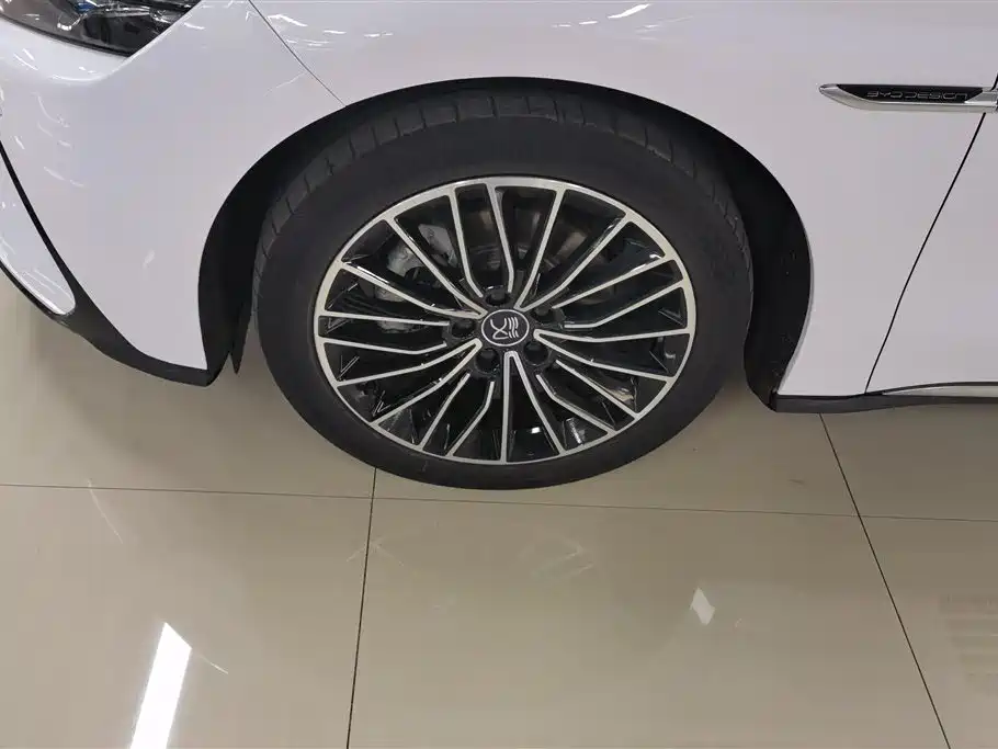 BYD Han 2021 EV Standard Range Luxury фото 6