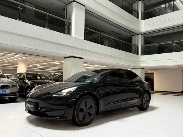 Tesla Model 3 Задний привод