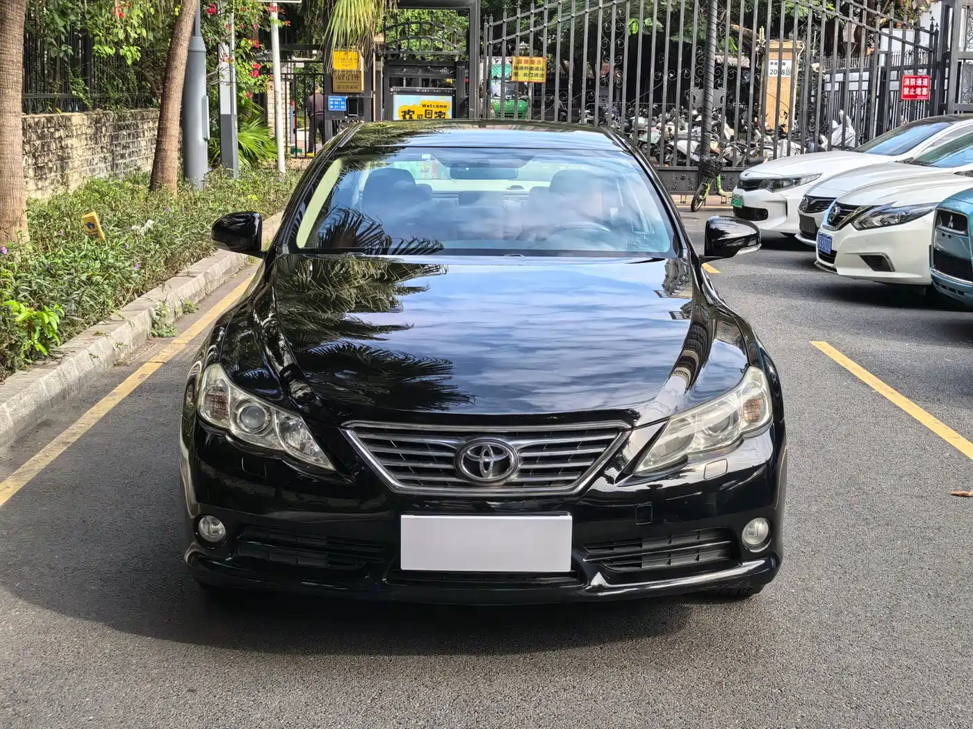 Toyota Reiz 2010 2.5S Elegance Elite Edition фото 2