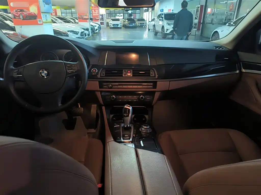 BMW 5 Series (Import) 2015 520i Elegance фото 10